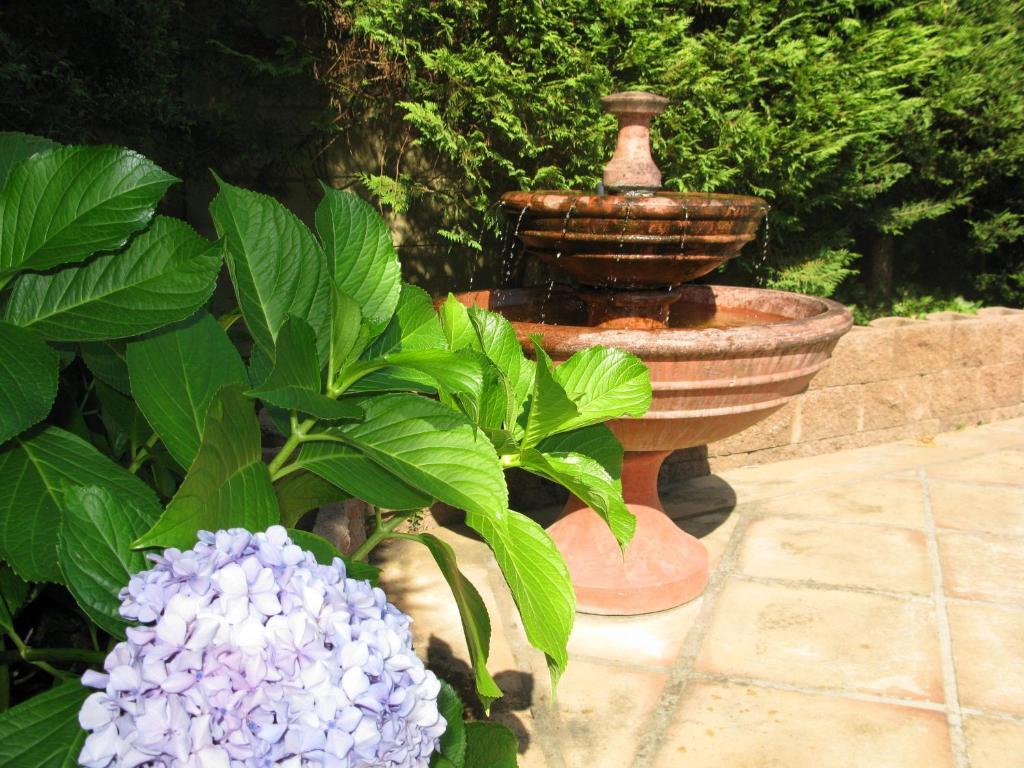 Casablanca Bed And Breakfast Στέλενμπος Εξωτερικό φωτογραφία
